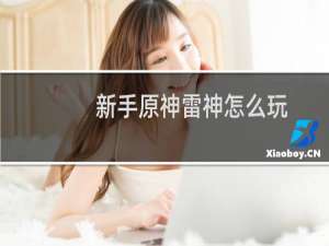 新手原神雷神怎么玩