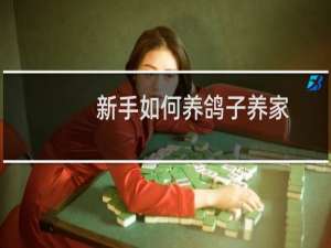 新手如何养鸽子养家
