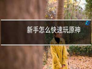 新手怎么快速玩原神