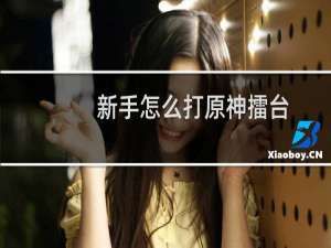 新手怎么打原神擂台