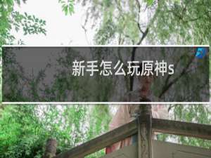 新手怎么玩原神s