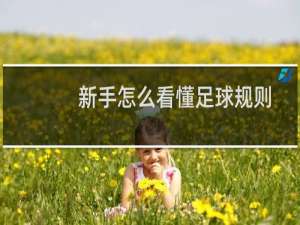 新手怎么看懂足球规则