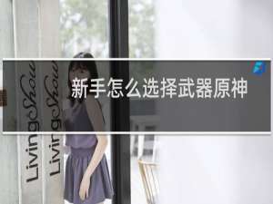 新手怎么选择武器原神