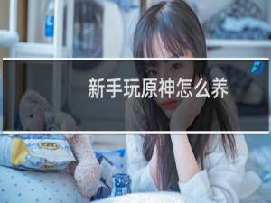 新手玩原神怎么养