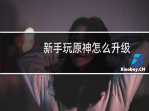 新手玩原神怎么升级