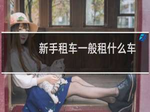 新手租车一般租什么车