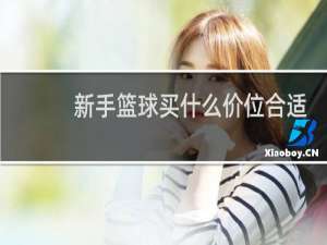 新手篮球买什么价位合适