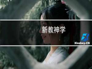 新教神学(关于新教神学的简介)