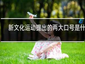 新文化运动提出的两大口号是什么