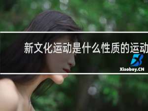 新文化运动是什么性质的运动
