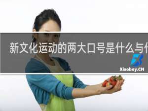 新文化运动的两大口号是什么与什么
