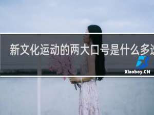 新文化运动的两大口号是什么多选题