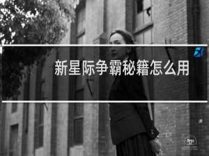 新星际争霸秘籍怎么用