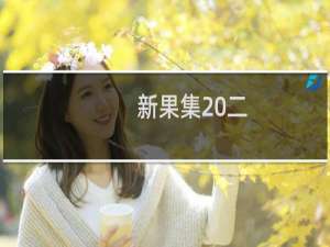 新果集 二：庆祝林沄先生八十华诞论文集(关于新果集 二：庆祝林沄先生八十华诞论文集的简介)