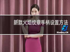 新款火焰纹章手柄设置方法