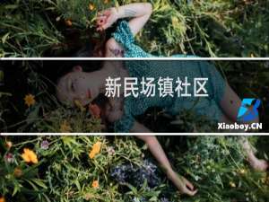 新民场镇社区(关于新民场镇社区的简介)