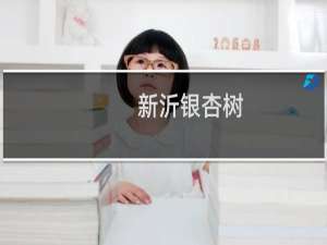 新沂银杏树