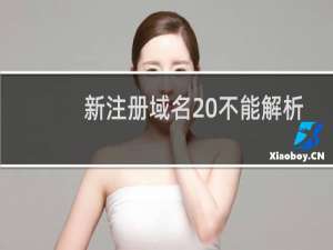 新注册域名 不能解析问题