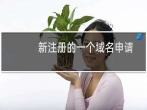 新注册的一个域名申请验证邮箱一直没收到邮件