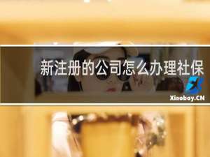 新注册的公司怎么办理社保