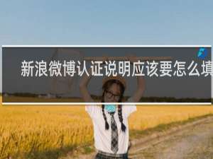新浪微博认证说明应该要怎么填写