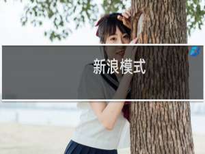 新浪模式(关于新浪模式的简介)