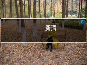 新清(关于新清的简介)