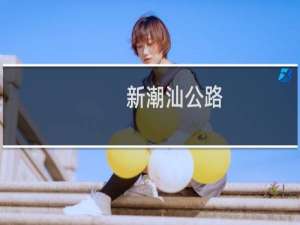 新潮汕公路(关于新潮汕公路的简介)