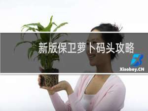 新版保卫萝卜码头攻略