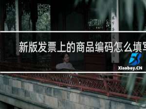 新版发票上的商品编码怎么填写