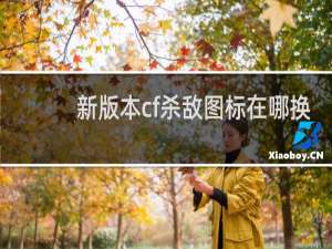 新版本cf杀敌图标在哪换