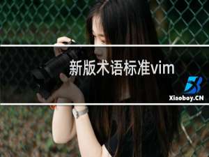 新版术语标准vim