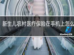 新生儿农村医疗保险在手机上怎么缴费