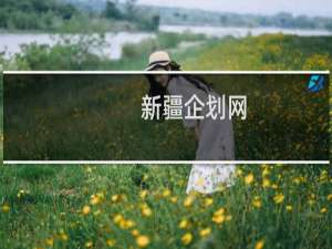 新疆企划网