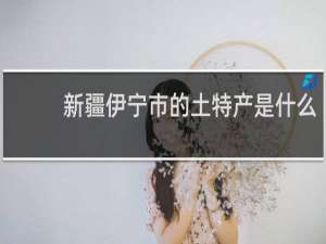 新疆伊宁市的土特产是什么
