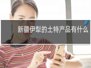 新疆伊犁的土特产品有什么