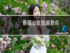 新疆公路旅游景点