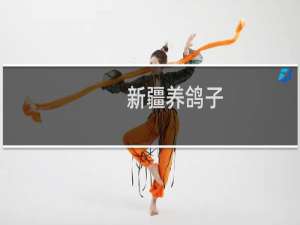 新疆养鸽子