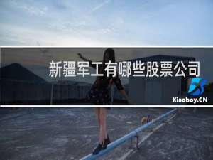 新疆军工有哪些股票公司