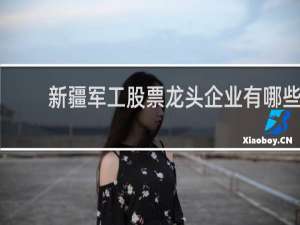 新疆军工股票龙头企业有哪些