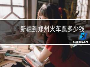 新疆到郑州火车票多少钱