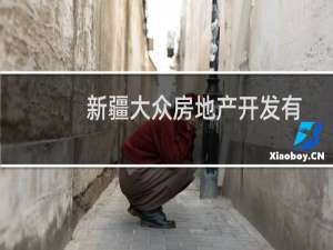 新疆大众房地产开发有限责任公司(关于新疆大众房地产开发有限责任公司的简介)