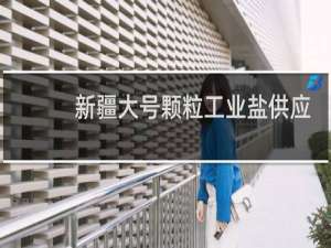 新疆大号颗粒工业盐供应厂家