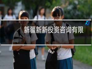 新疆新新投资咨询有限责任公司(关于新疆新新投资咨询有限责任公司的简介)