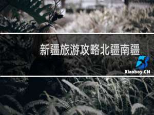 新疆旅游攻略北疆南疆
