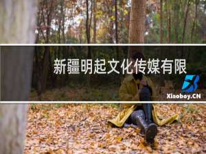 新疆明起文化传媒有限公司(关于新疆明起文化传媒有限公司的简介)