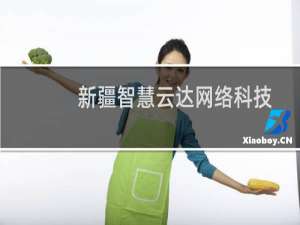 新疆智慧云达网络科技有限公司(关于新疆智慧云达网络科技有限公司的简介)