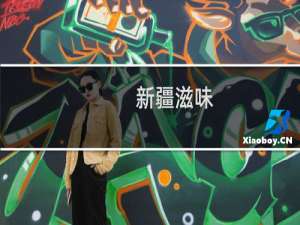 新疆滋味(关于新疆滋味的简介)