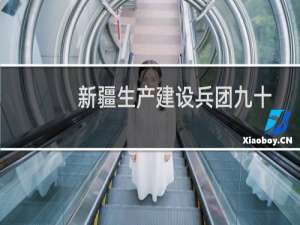 新疆生产建设兵团九十一团志(关于新疆生产建设兵团九十一团志的简介)