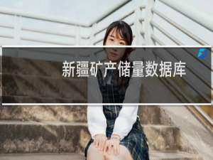 新疆矿产储量数据库(关于新疆矿产储量数据库的简介)